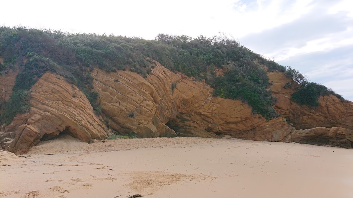 Beares Beach