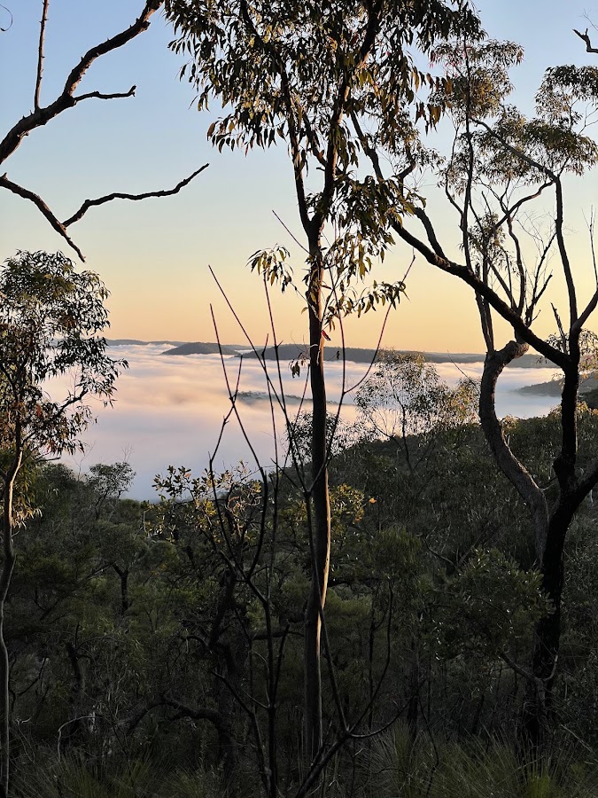 Ridge Top Campground