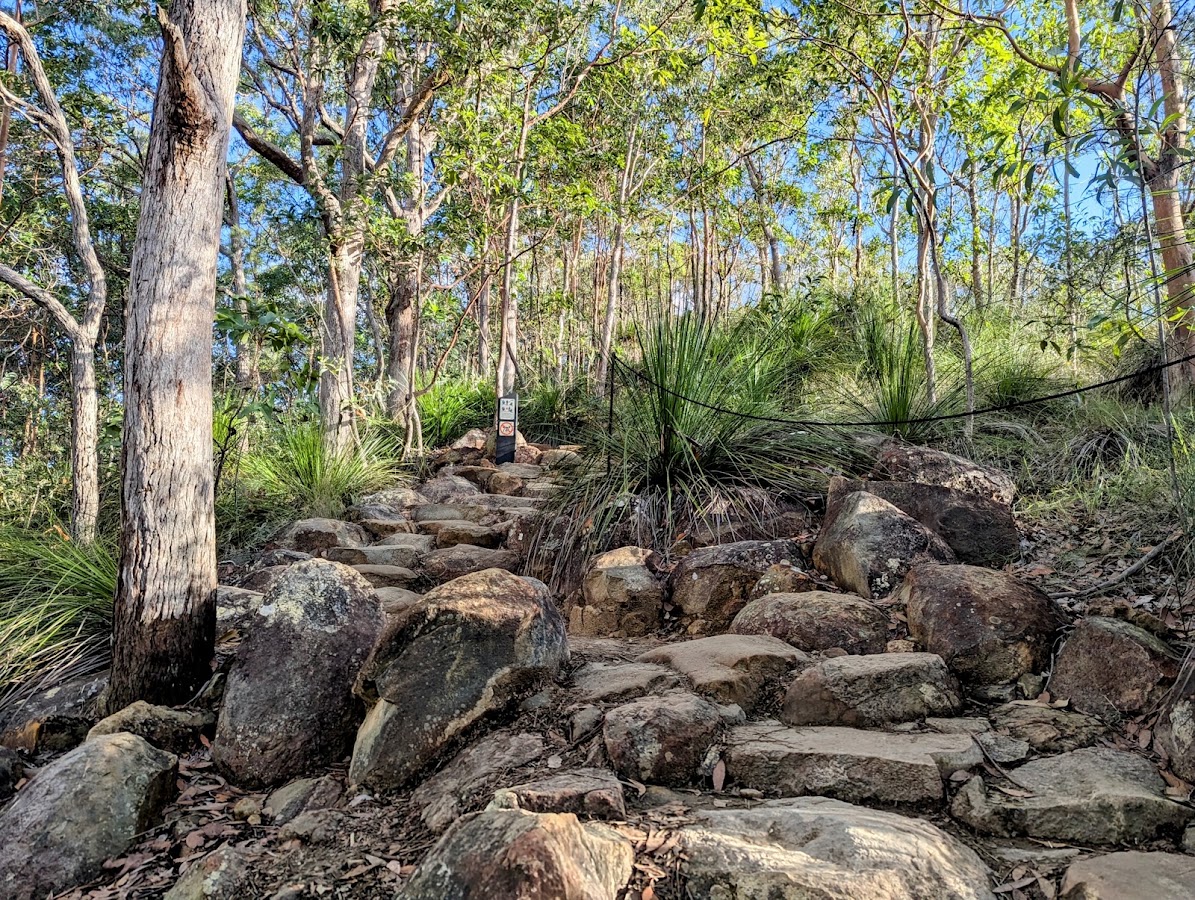 Ngungun View