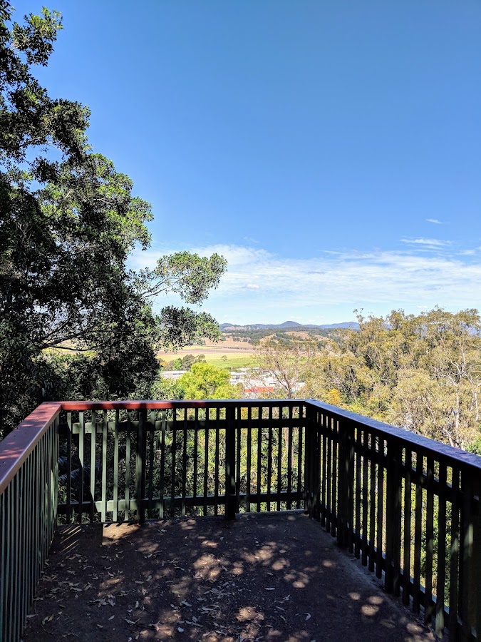 Lion's Lookout