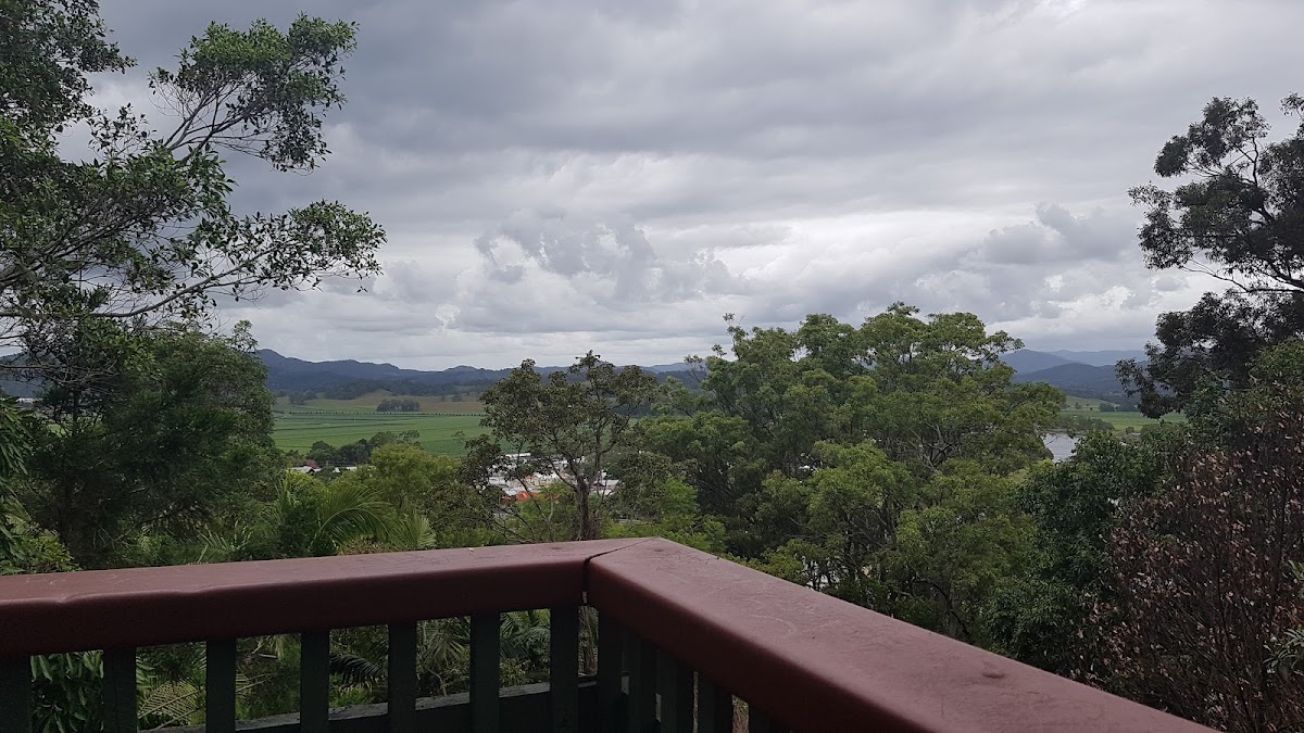 Lion's Lookout