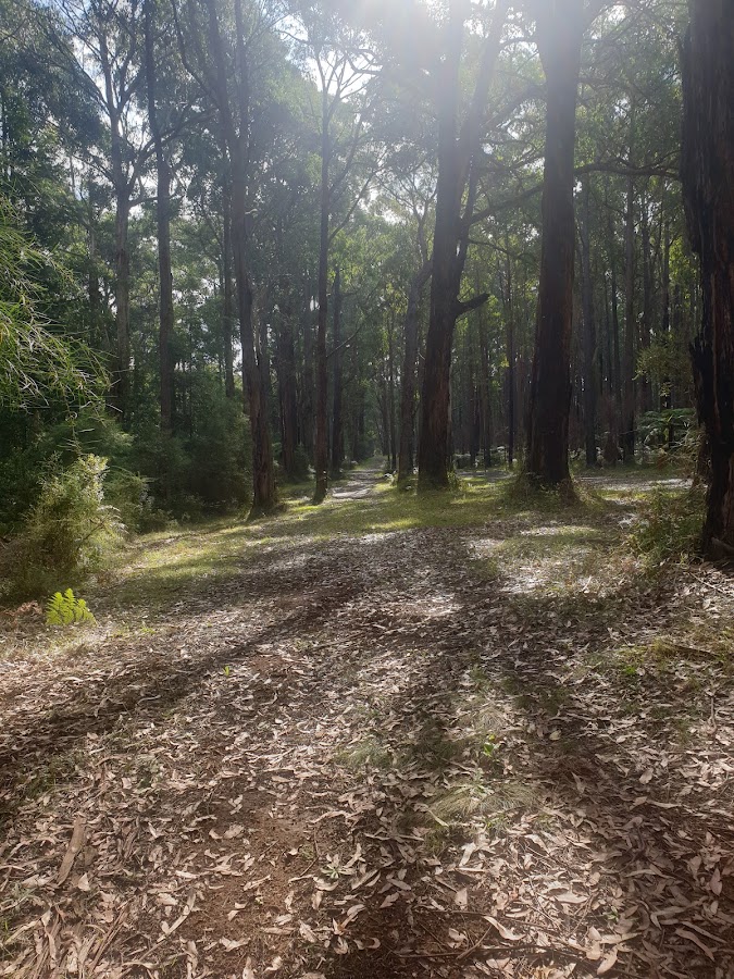 Rawson Caravan Park