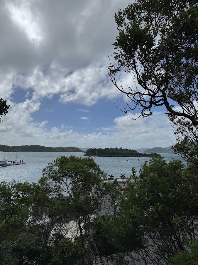 Lions Lookout