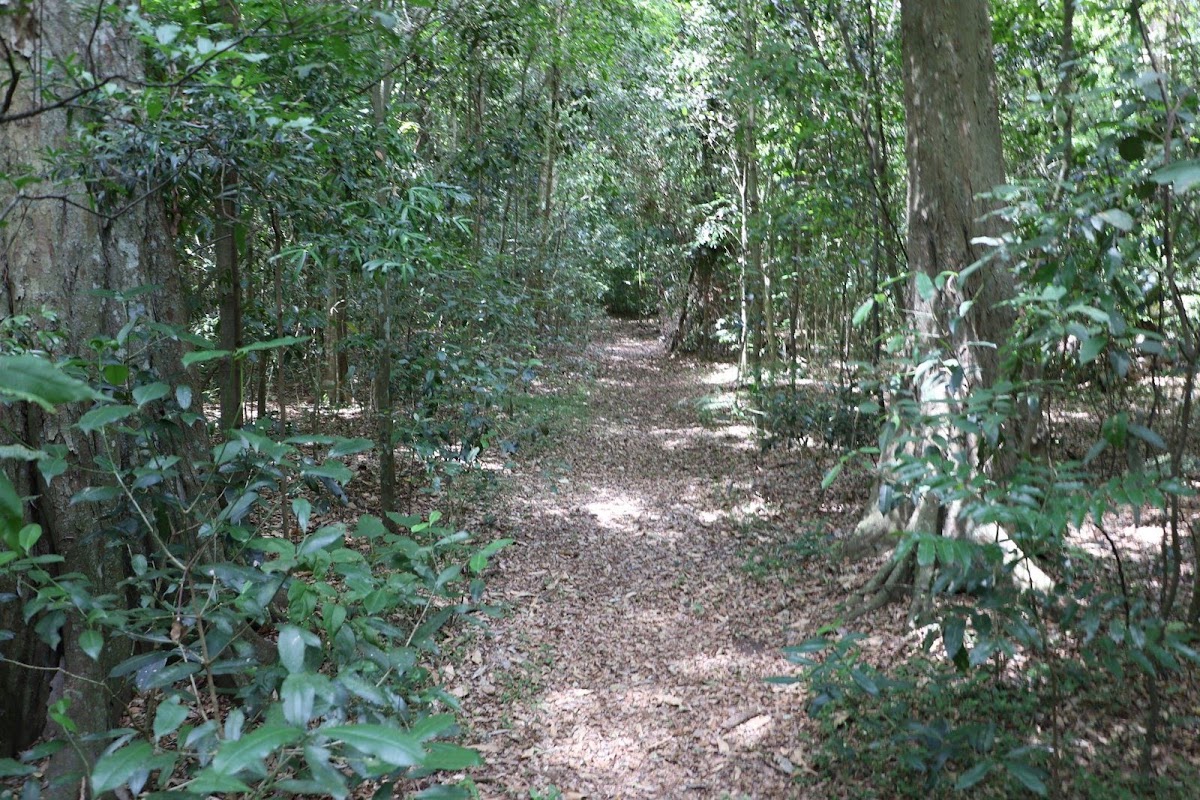 Moore Park Nature Reserve