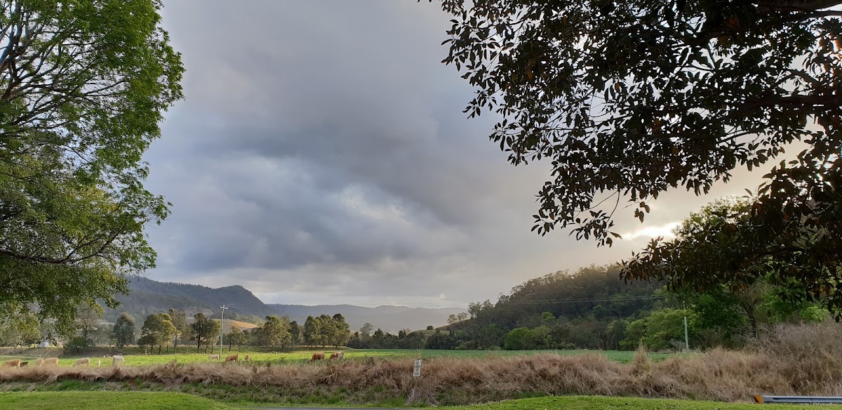 Moore Park Nature Reserve