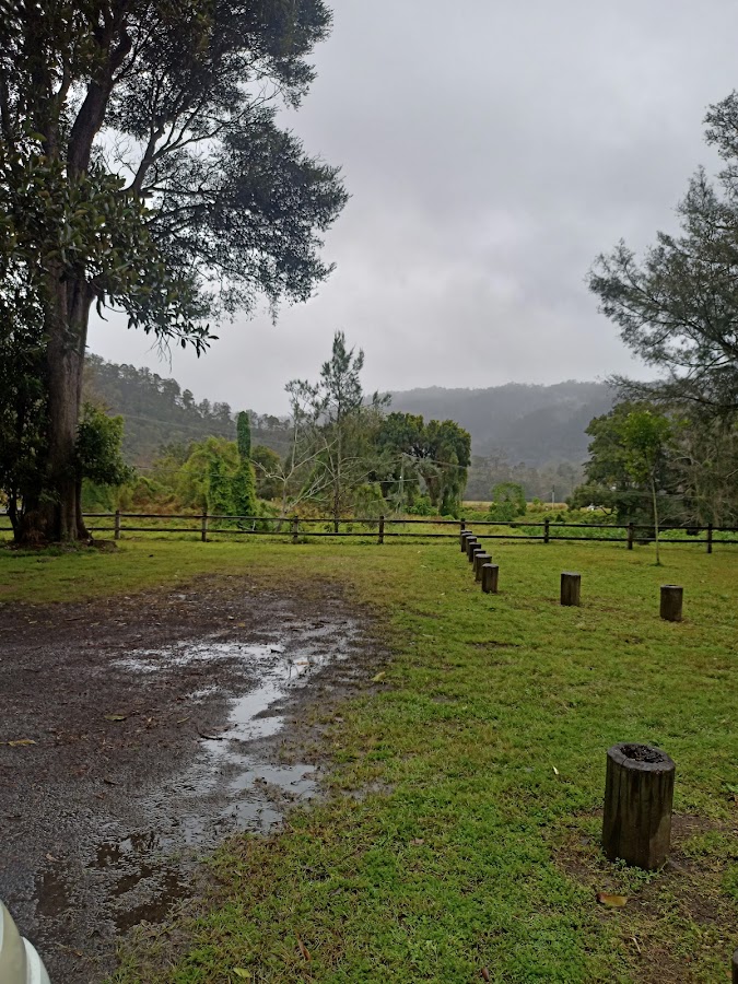 Moore Park Nature Reserve