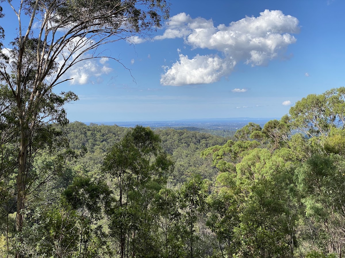 Creek lookout