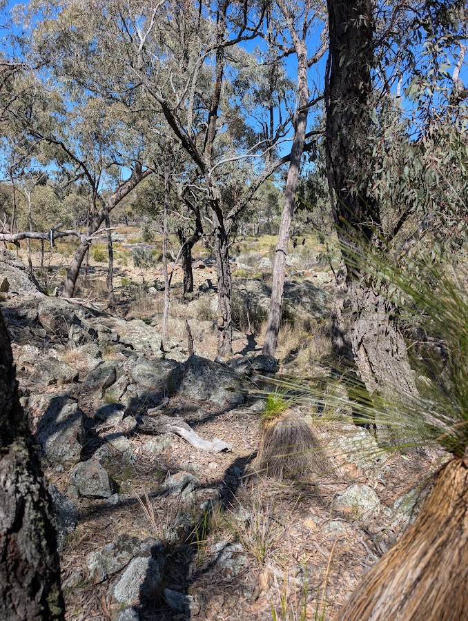Kings Plains National Park
