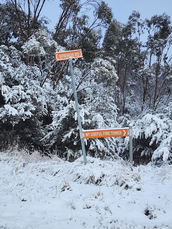 Mount Useful State Forest