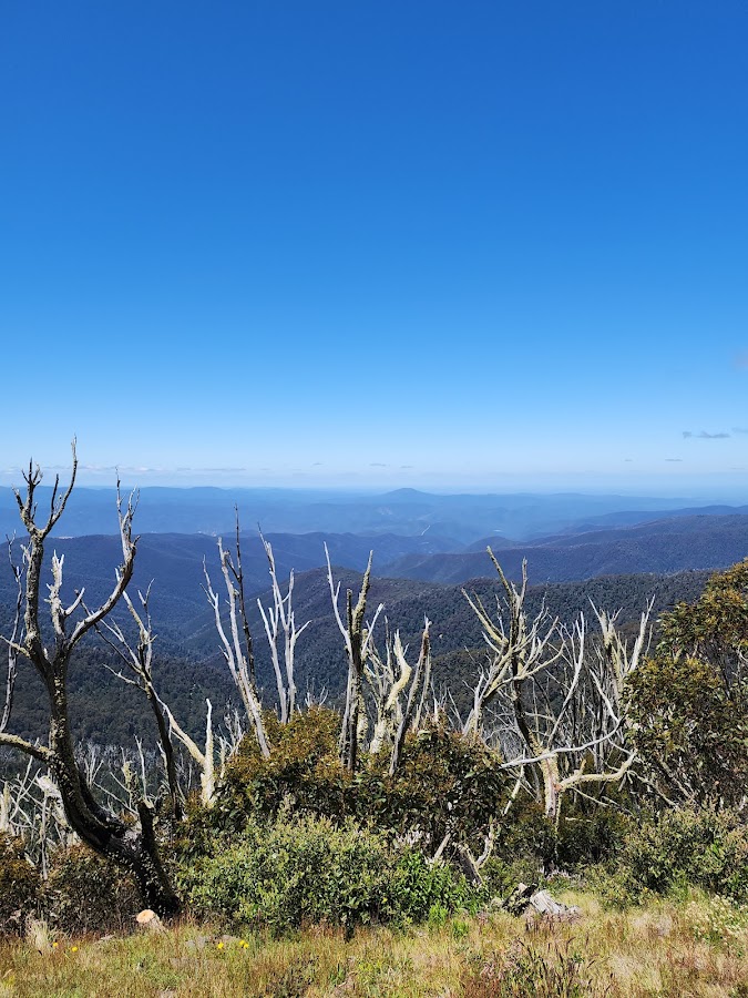 Mount Useful State Forest