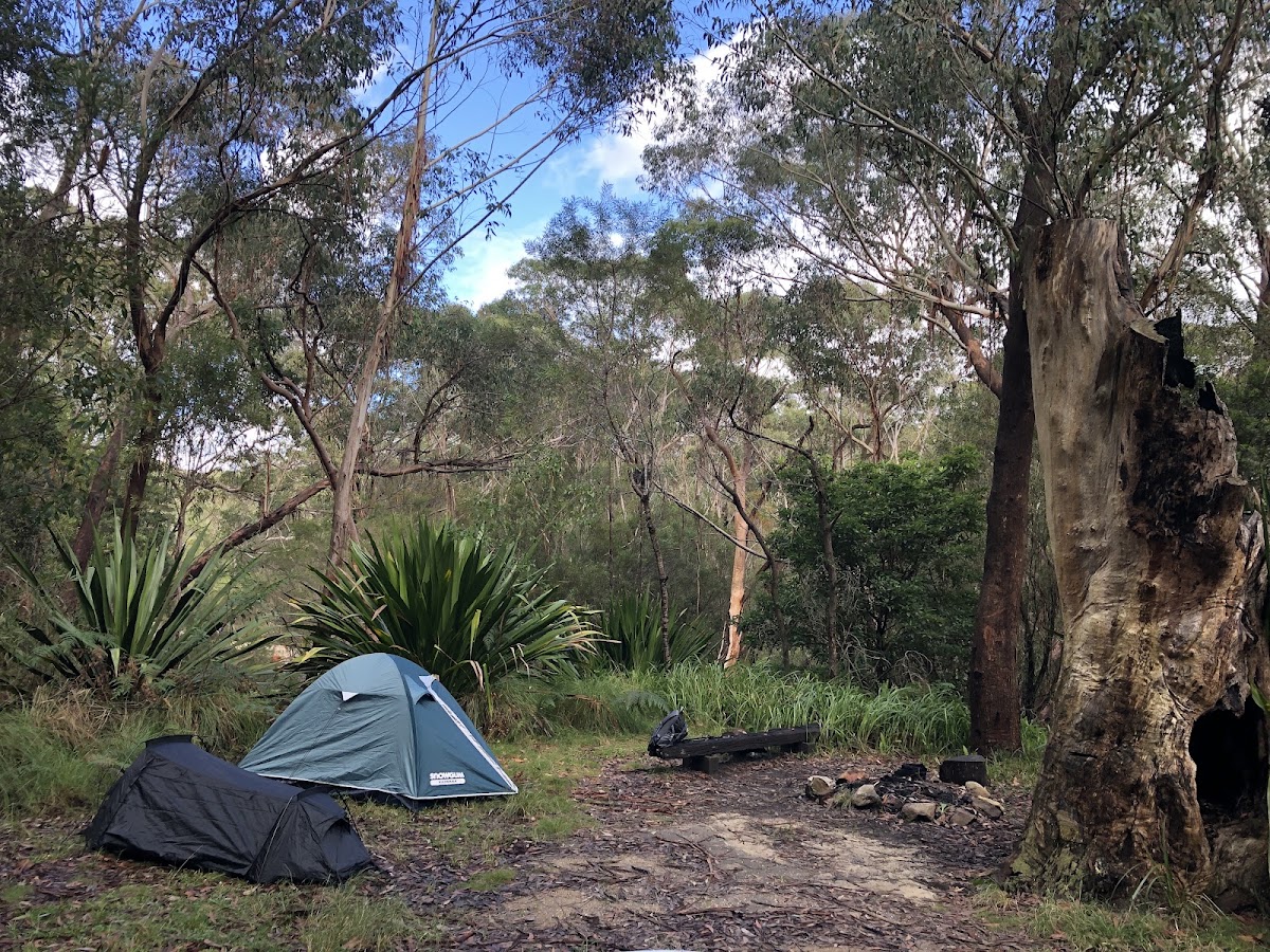 Camp Coutts Scout Camp