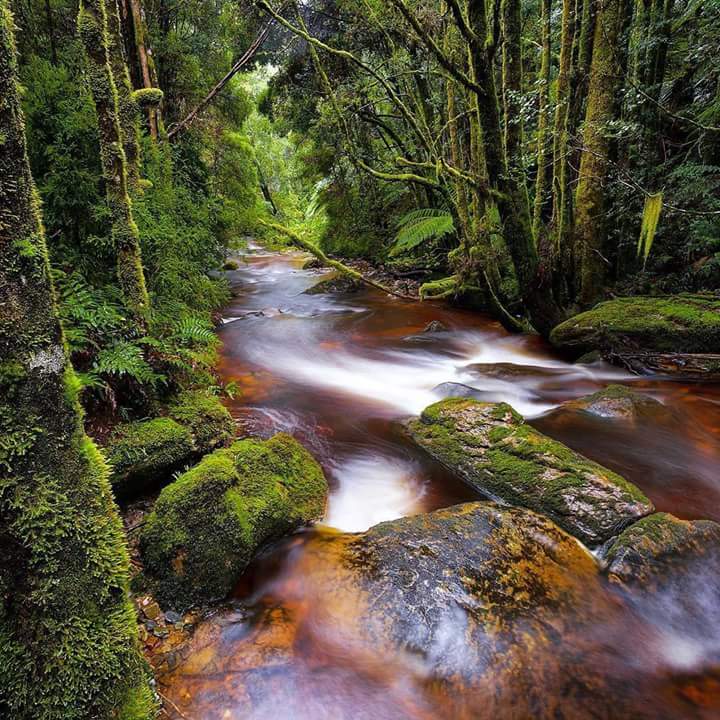 Franklin-Gordon Wild Rivers National Park