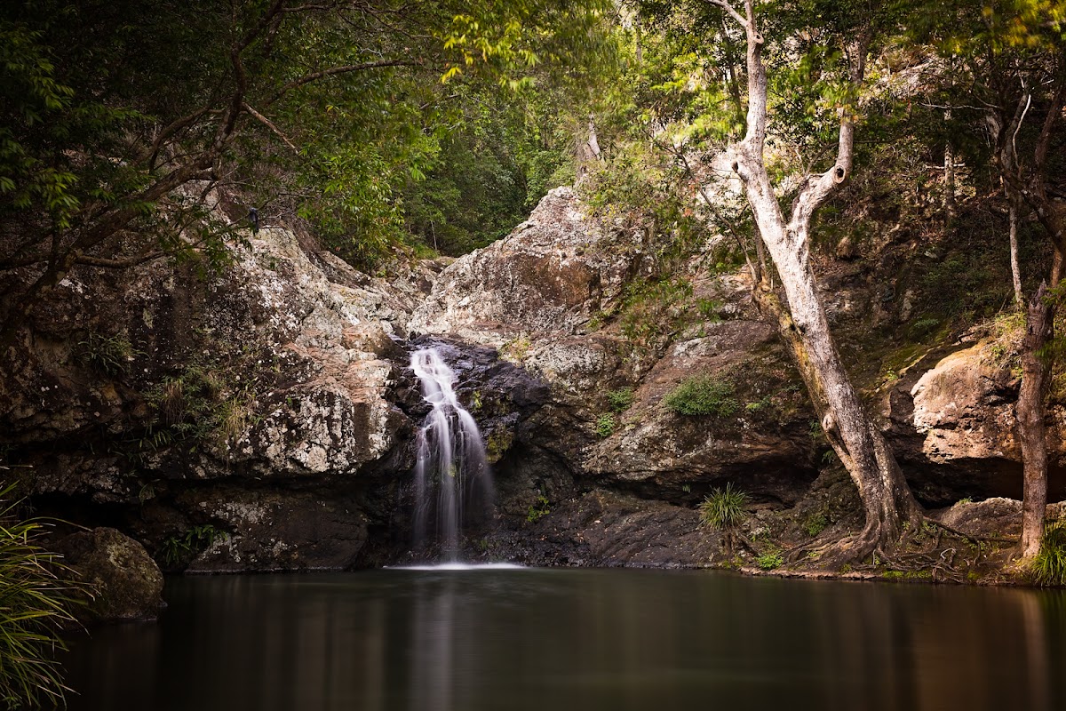 Kondalilla National Park