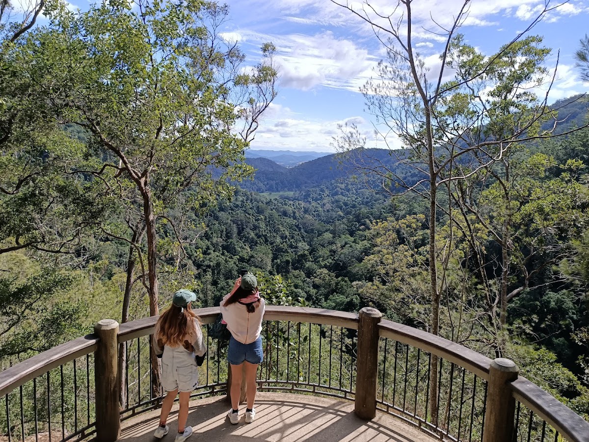 Kondalilla National Park