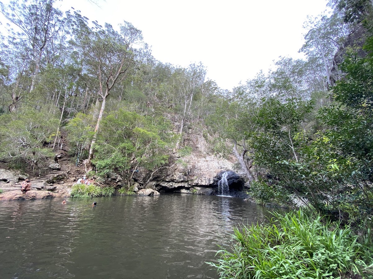 Kondalilla National Park