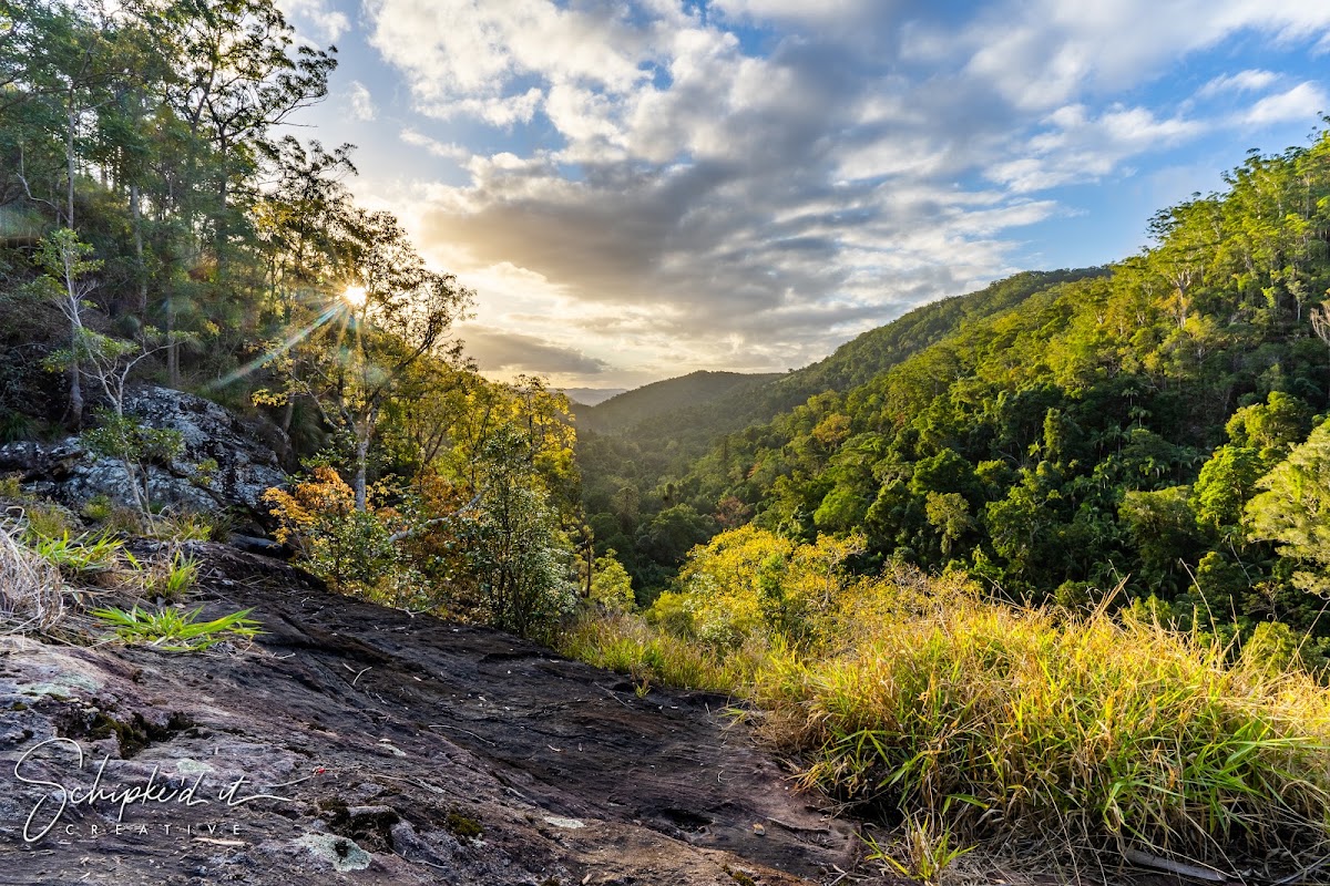 Kondalilla National Park