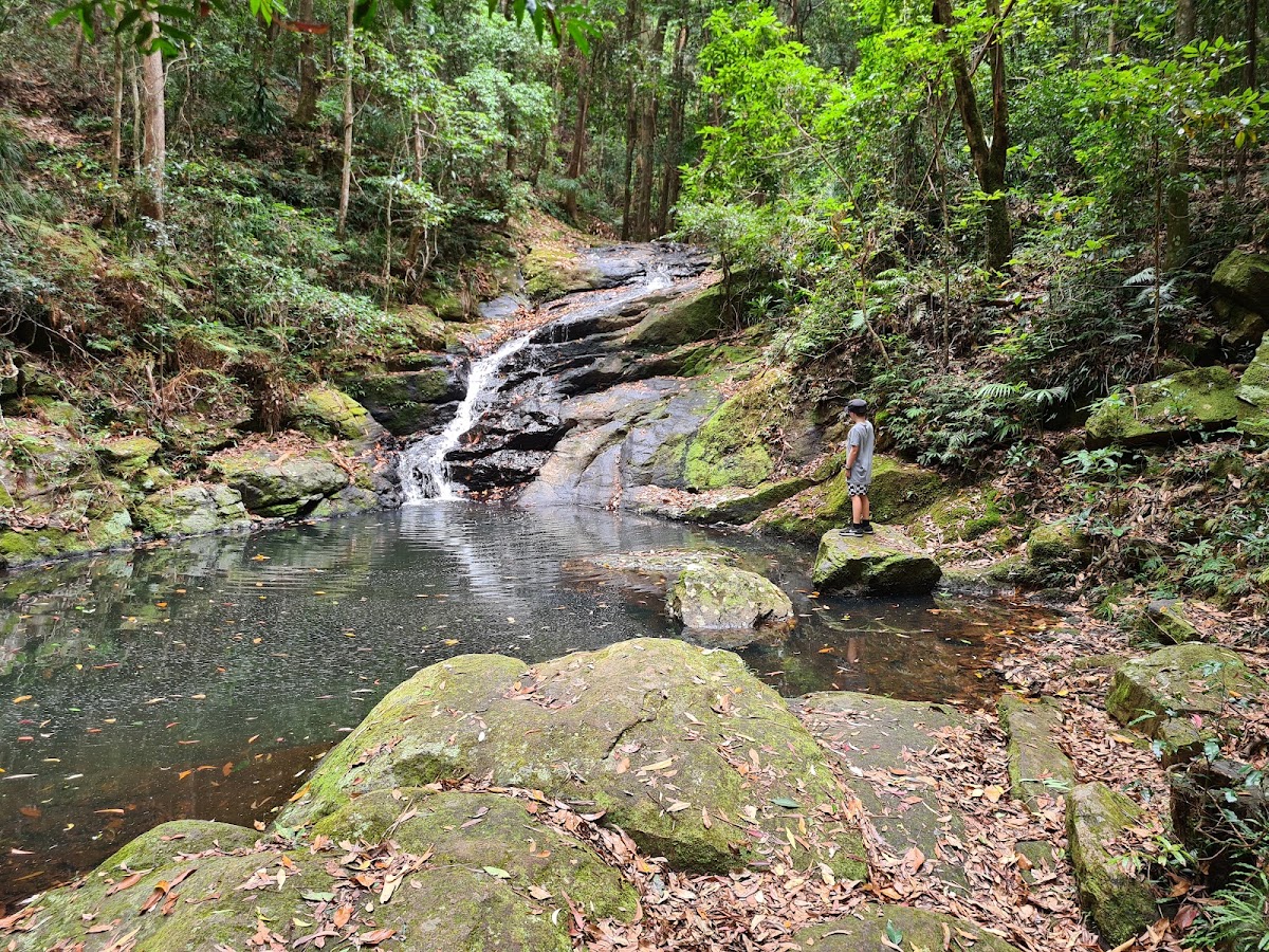 Kondalilla National Park