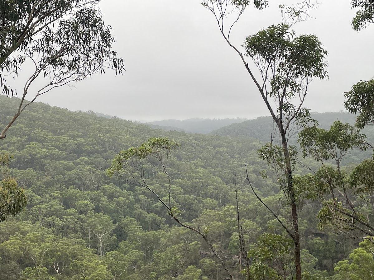Southern Lookout
