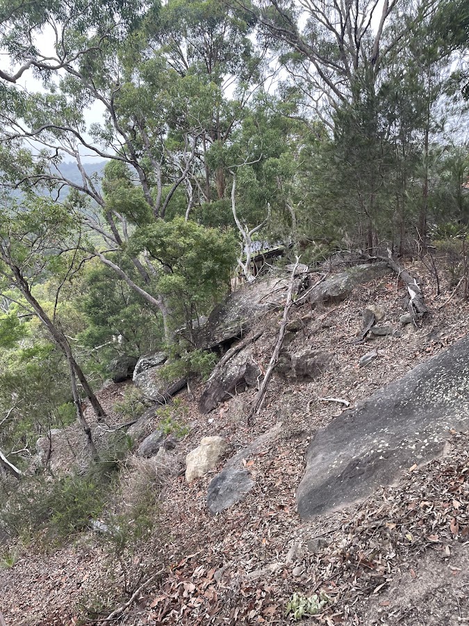 Southern Lookout