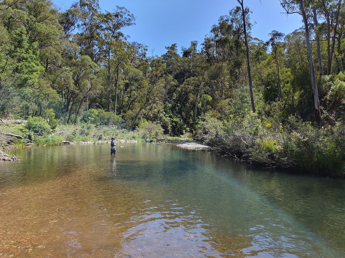Baw Baw National Park