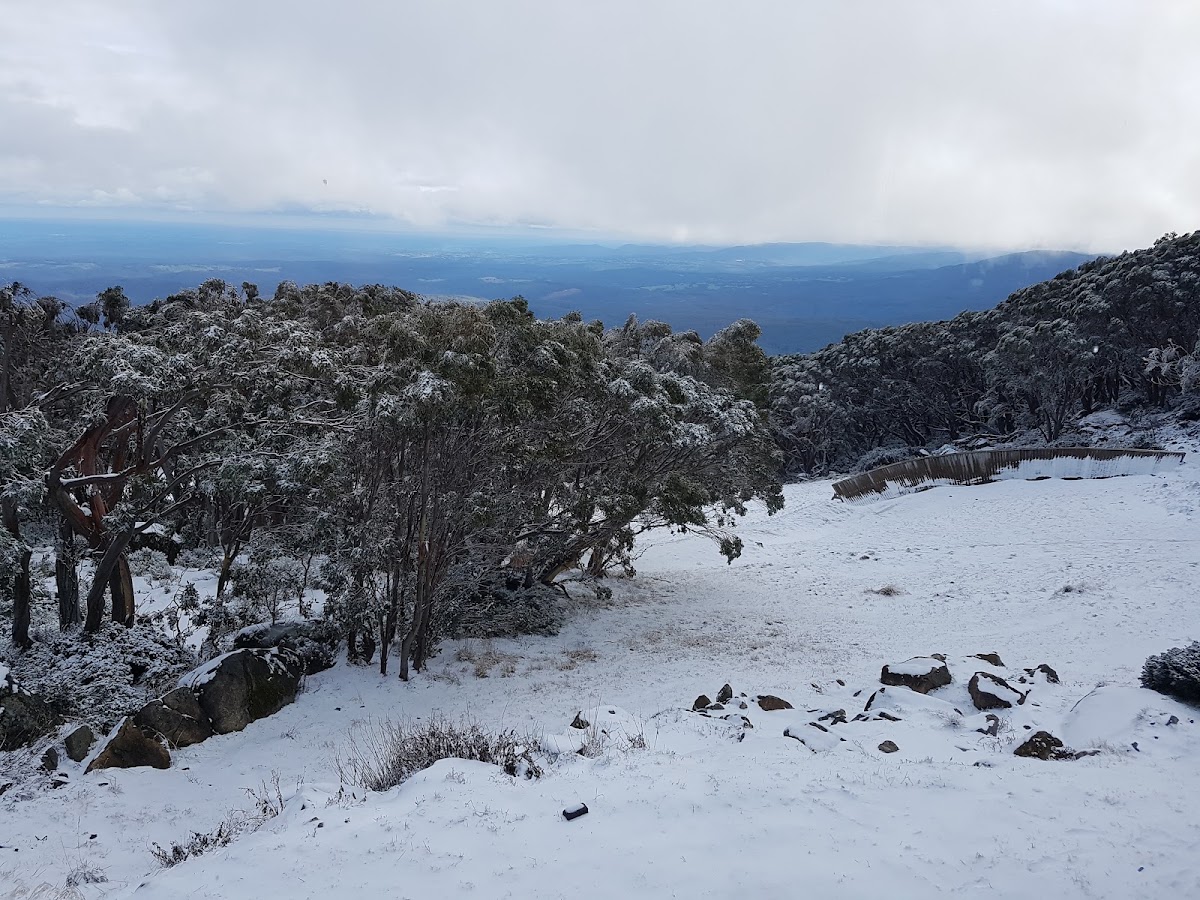 Baw Baw National Park