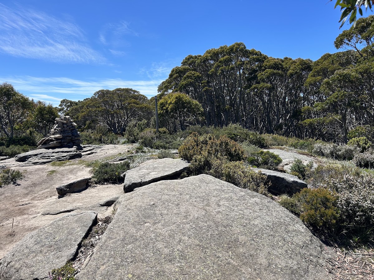 Baw Baw National Park