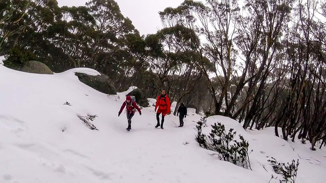 Baw Baw National Park
