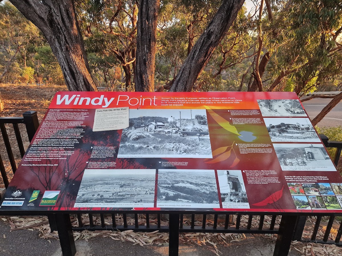 Windy Point Lookout