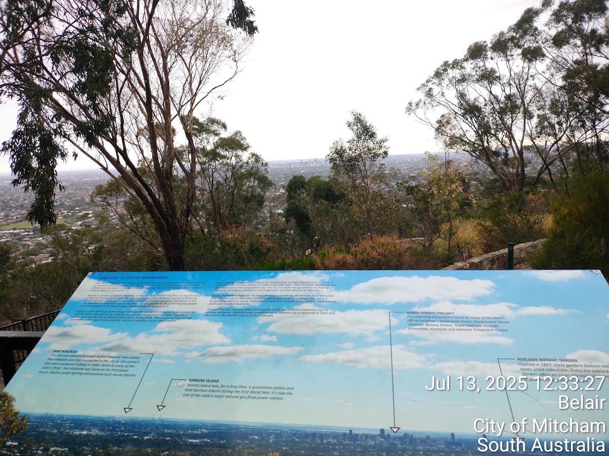 Windy Point Lookout