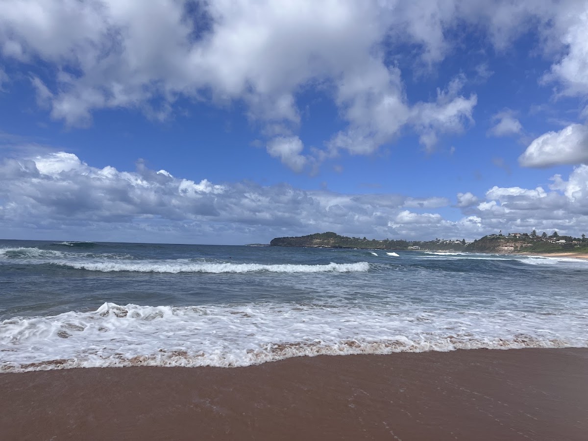 Mona Vale Beach