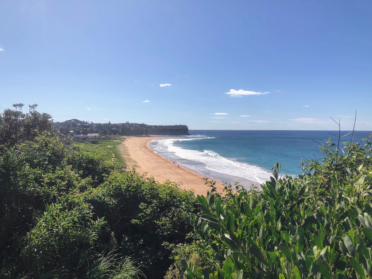 Mona Vale Beach