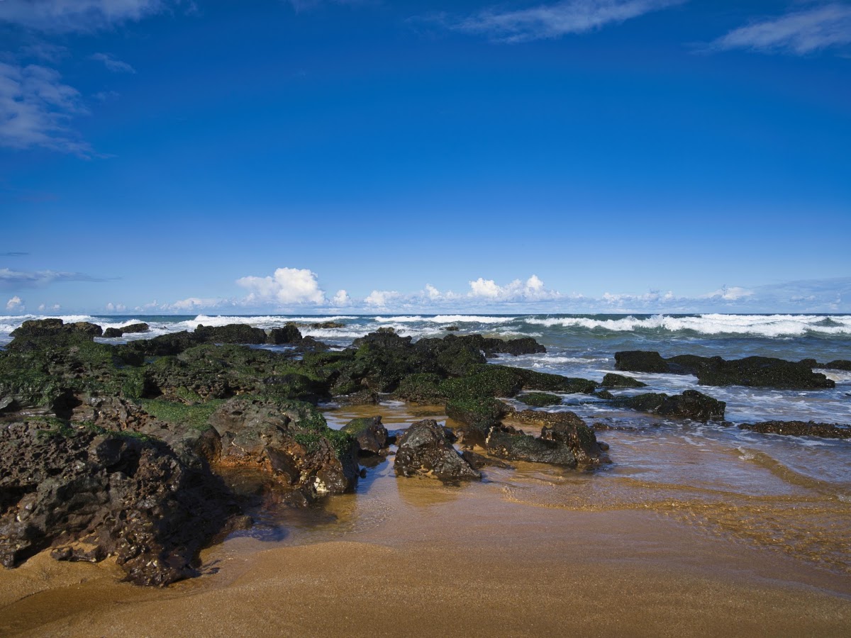 Mona Vale Beach