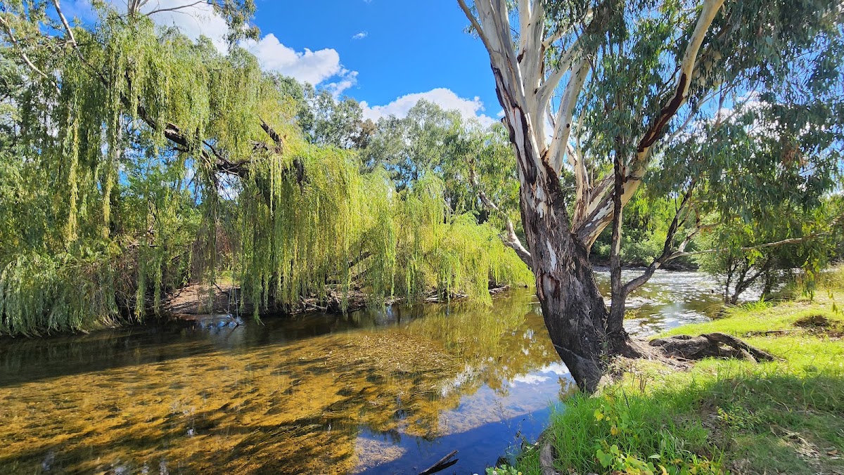 Bingara Riverside Camp