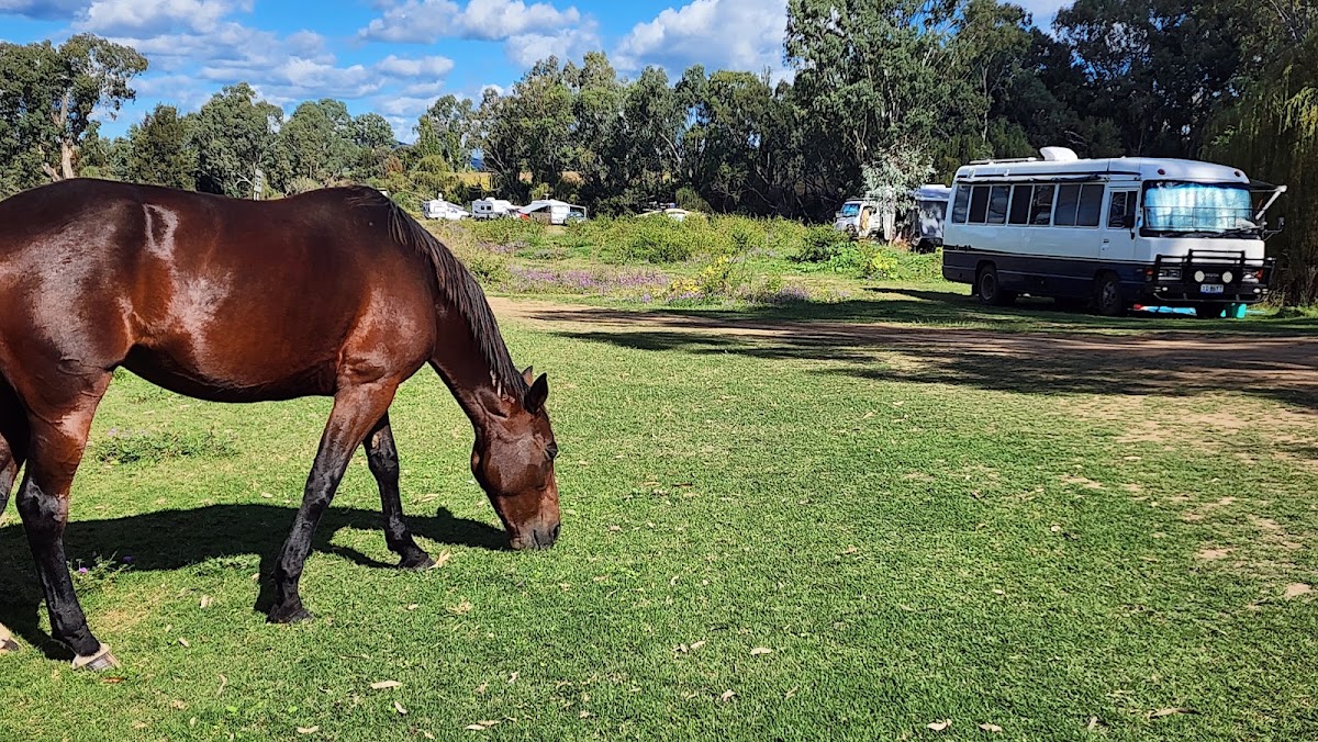 Bingara Riverside Camp