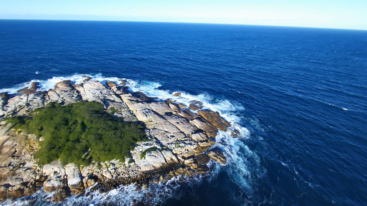 Paddys Island Campground