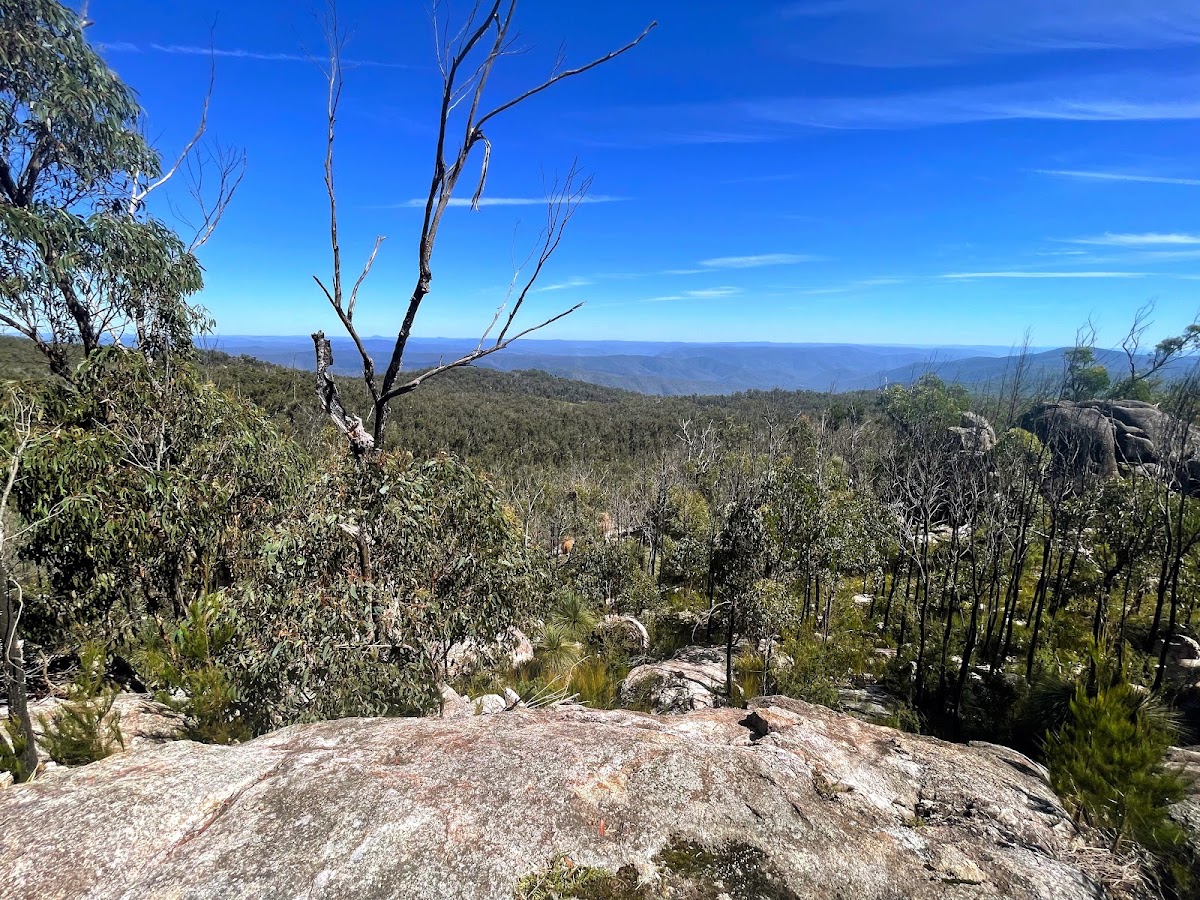 Guy Fawkes Lookout