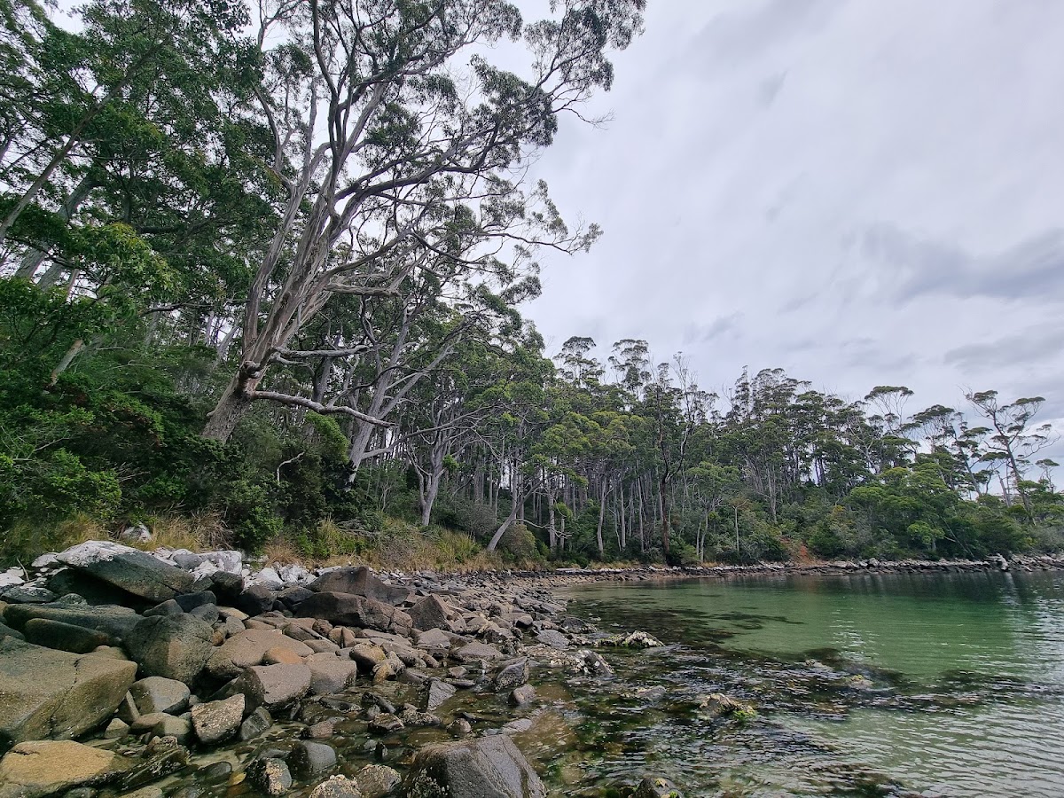 Stewarts Bay State Reserve