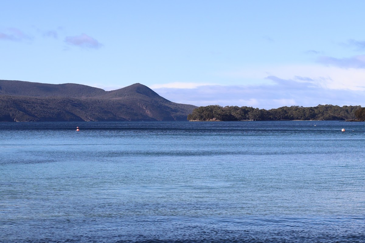 Stewarts Bay State Reserve