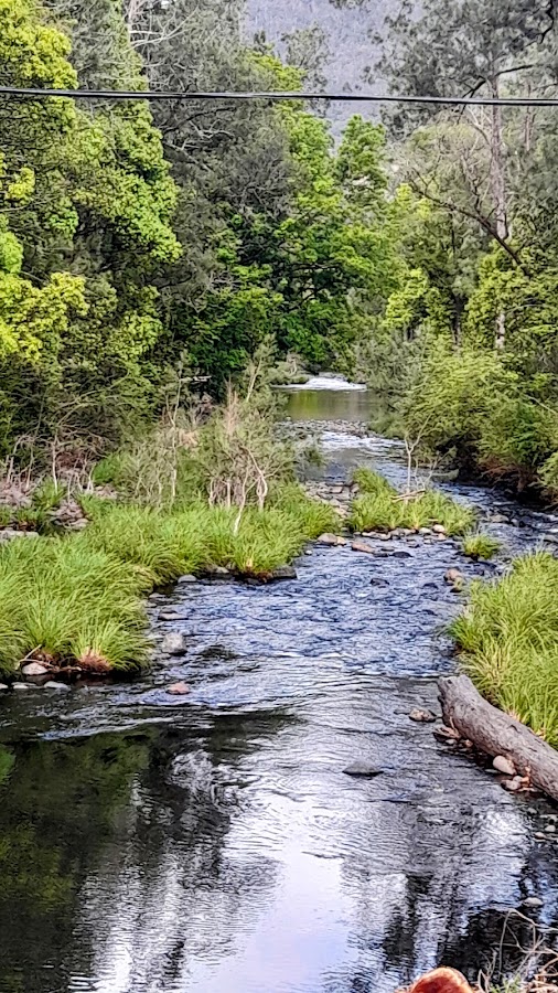 Lynchs Creek Reserve