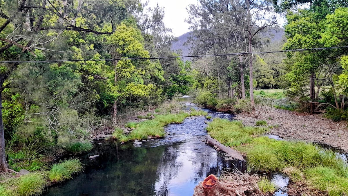 Lynchs Creek Reserve