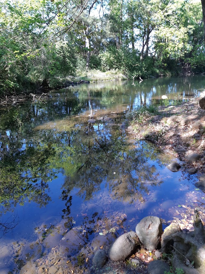 Lynchs Creek Reserve