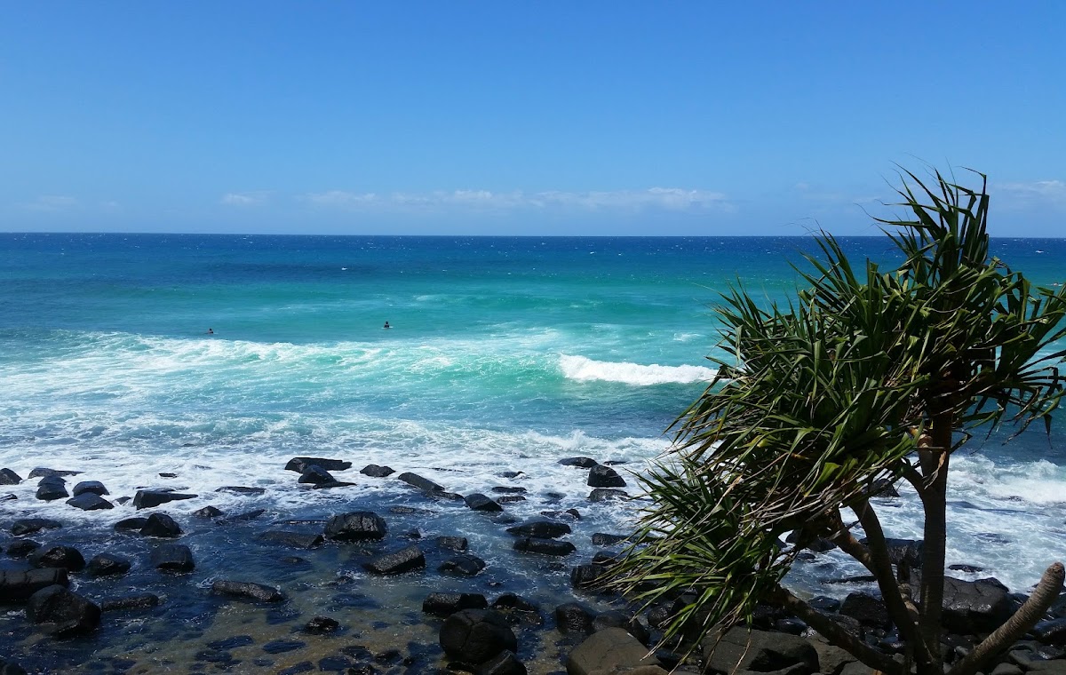 Burleigh Head National Park