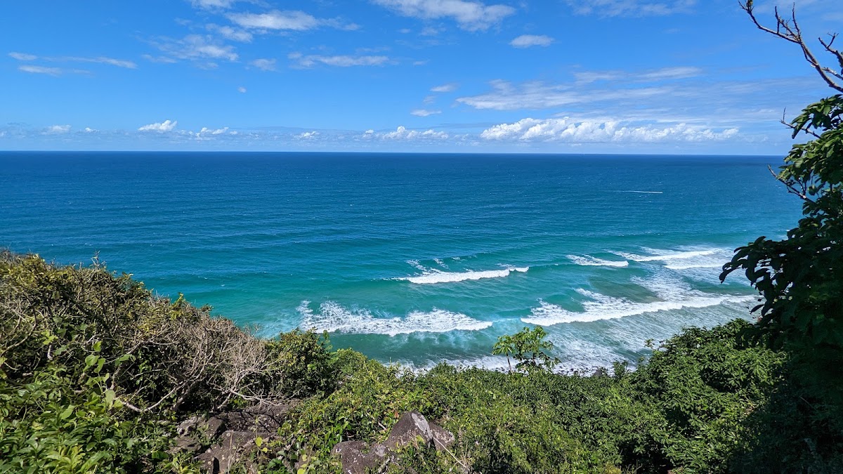 Burleigh Head National Park