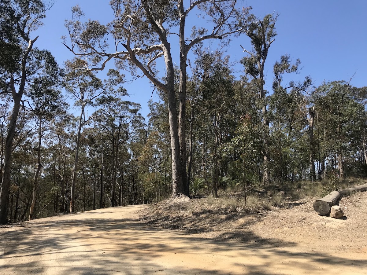 Holmes Lookout