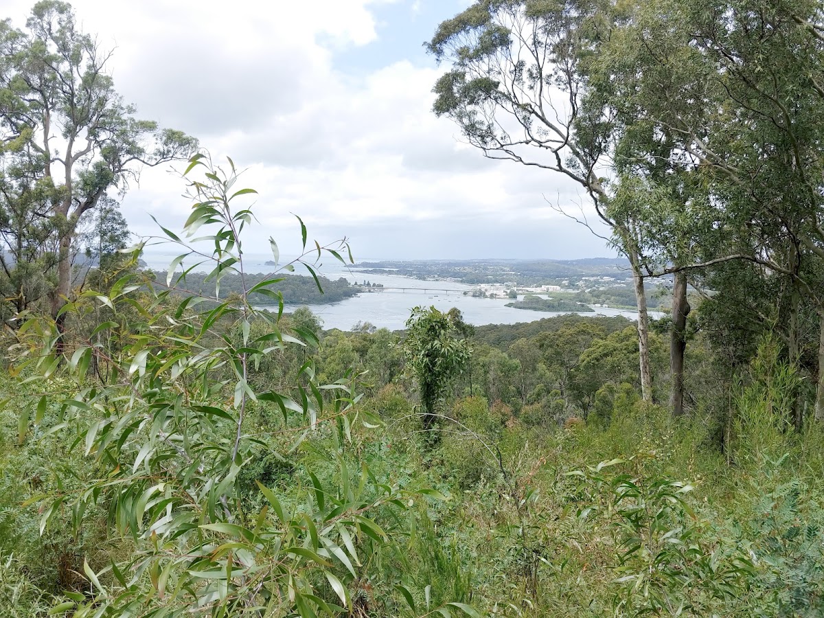 Holmes Lookout
