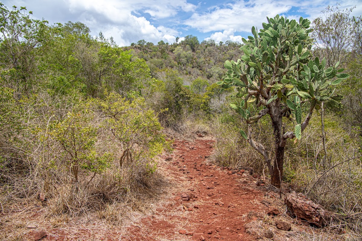 Coalstoun Lakes National Park