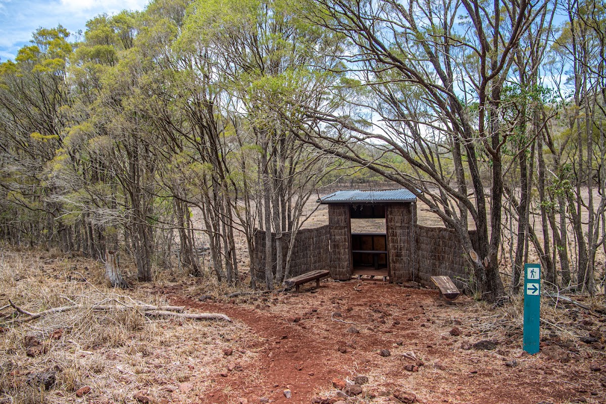 Coalstoun Lakes National Park