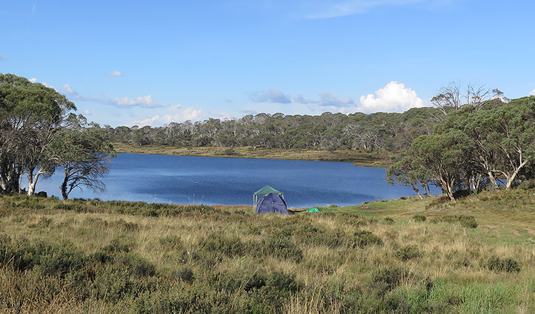 Four Mile Trail campground - Eucumbene River