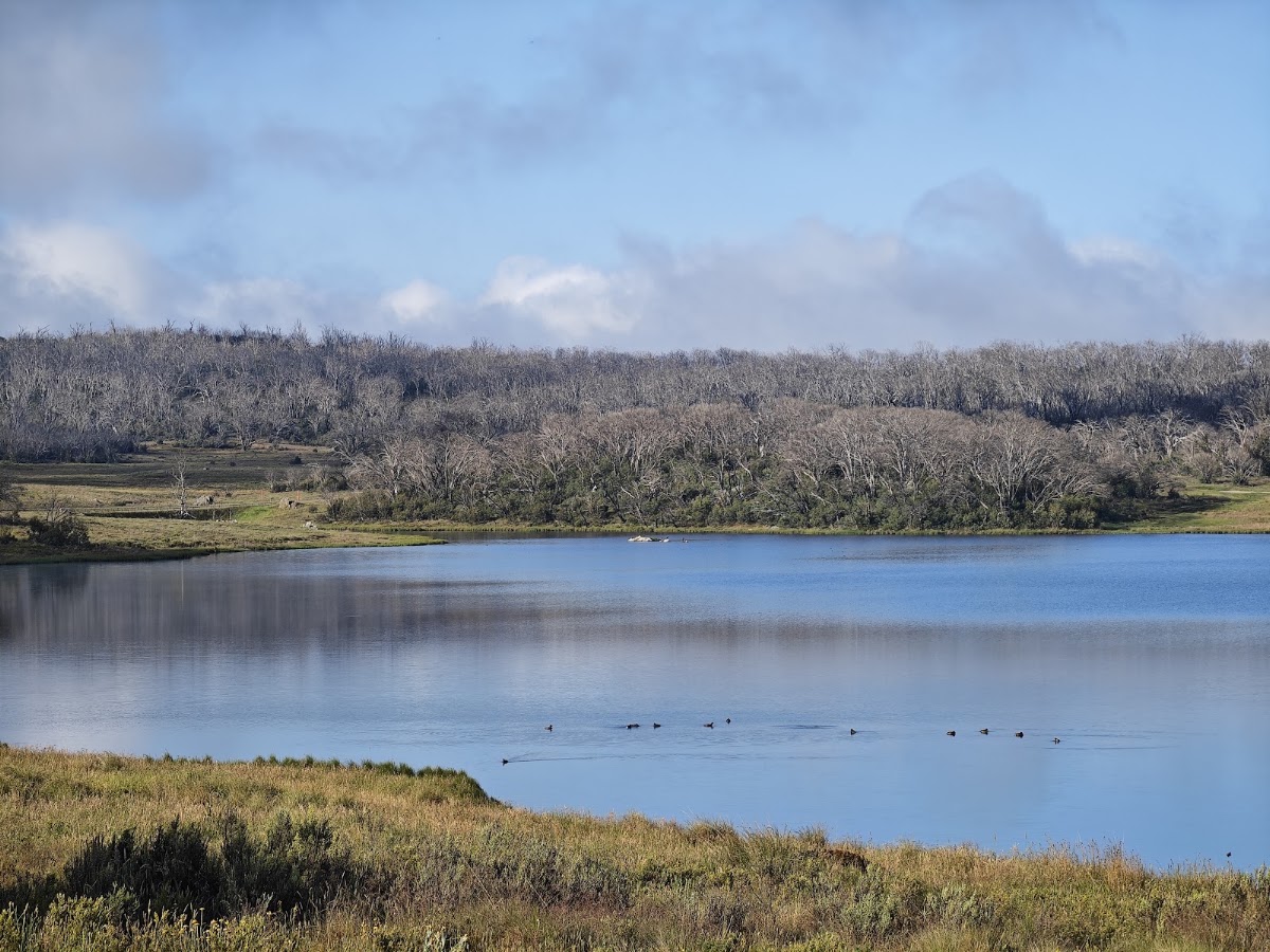 Four Mile Trail campground - Eucumbene River