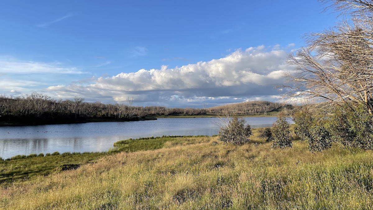 Four Mile Trail campground - Eucumbene River